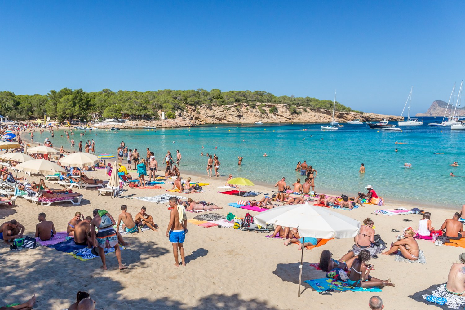 Best Ibiza beaches Cala BASSA, top Ibiza tourism