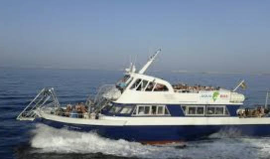 Fast Ferry in Ibiza Town