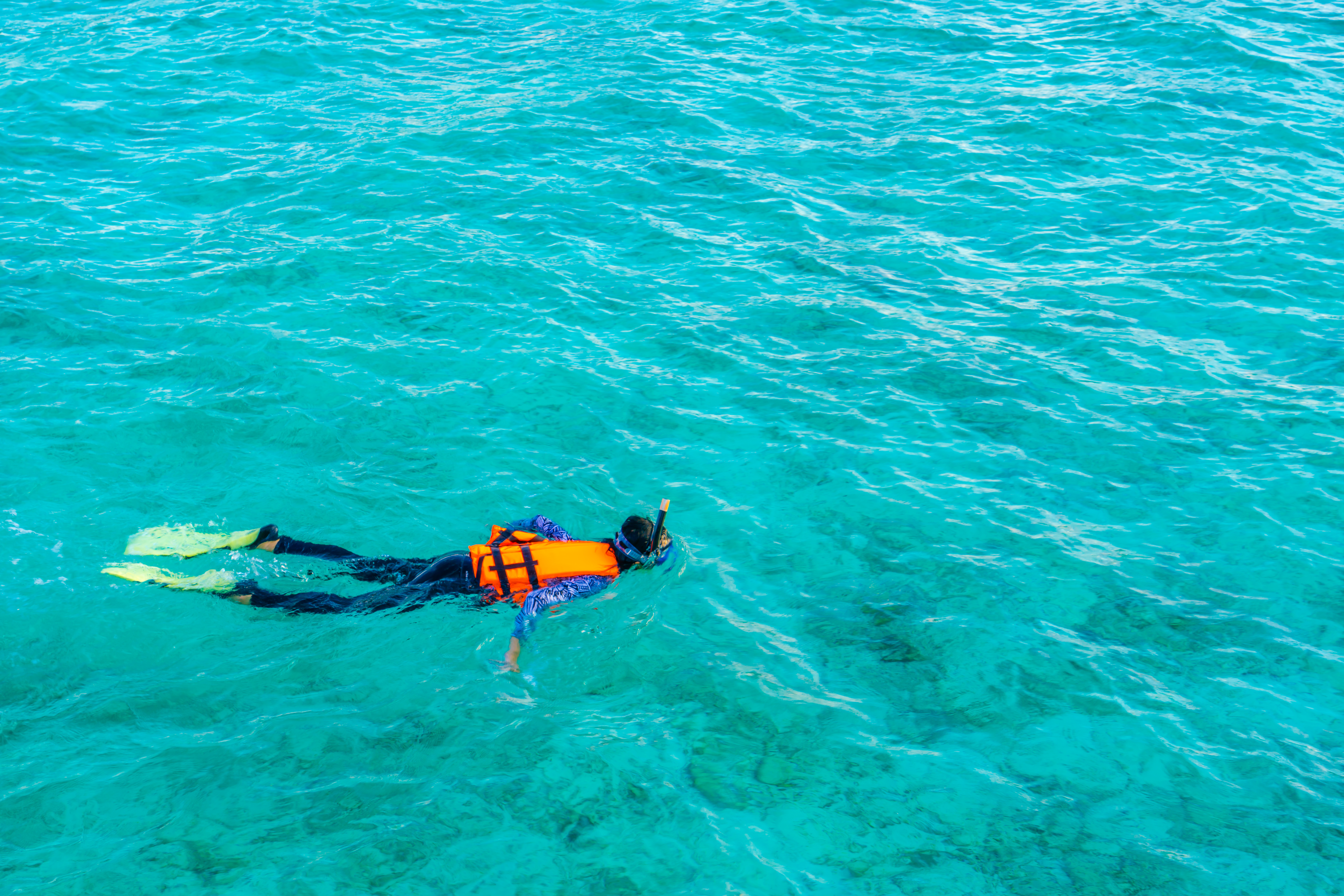 Ibiza Snorkeling Boat Trips