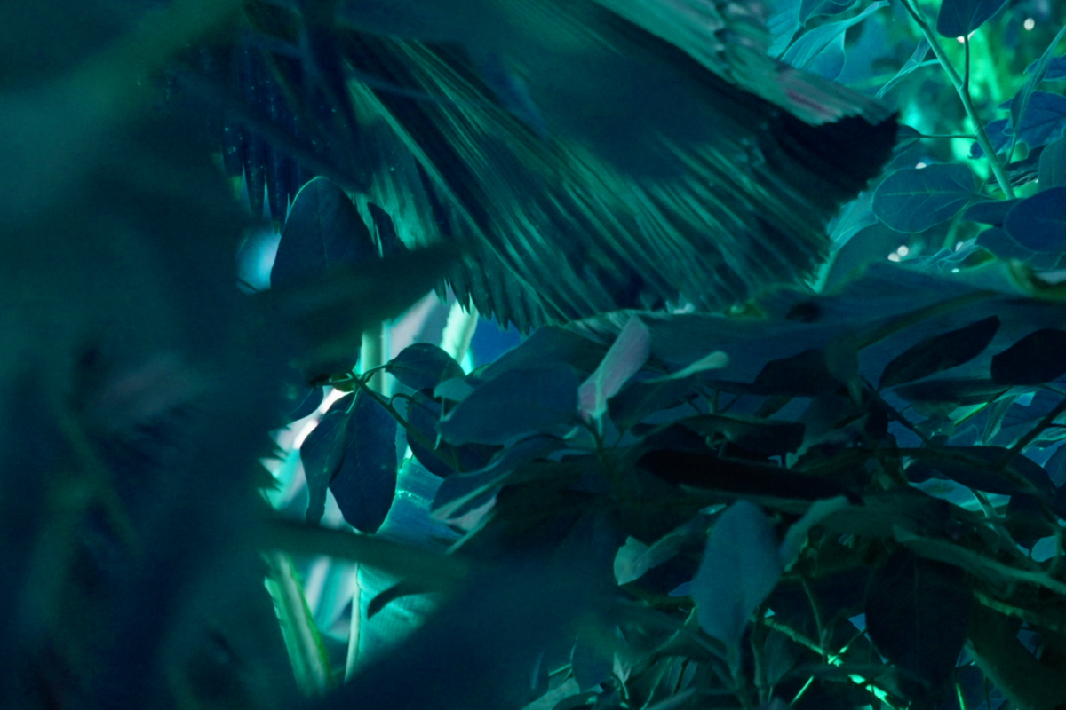 img-banner-evento-01