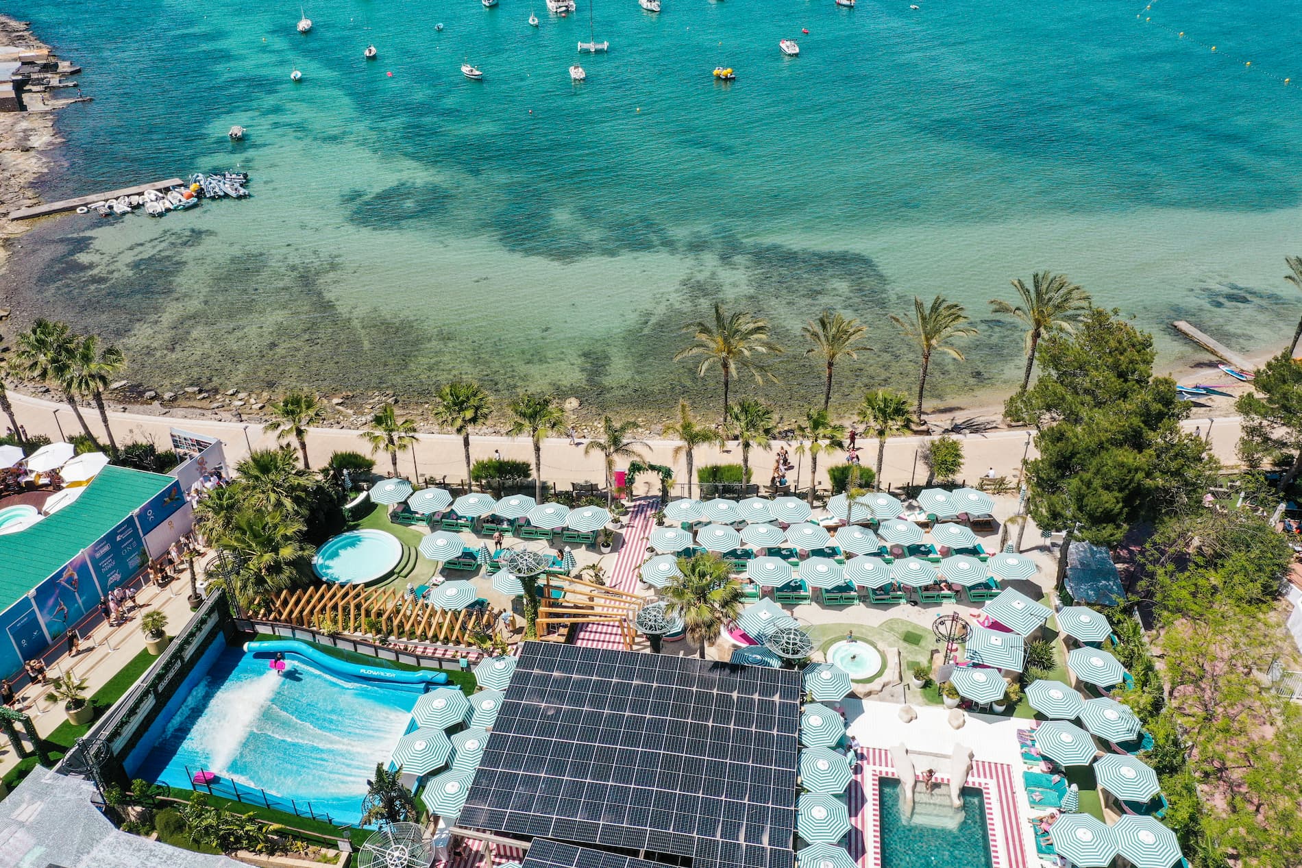 Bambuku in San Antonio Bay 2026
