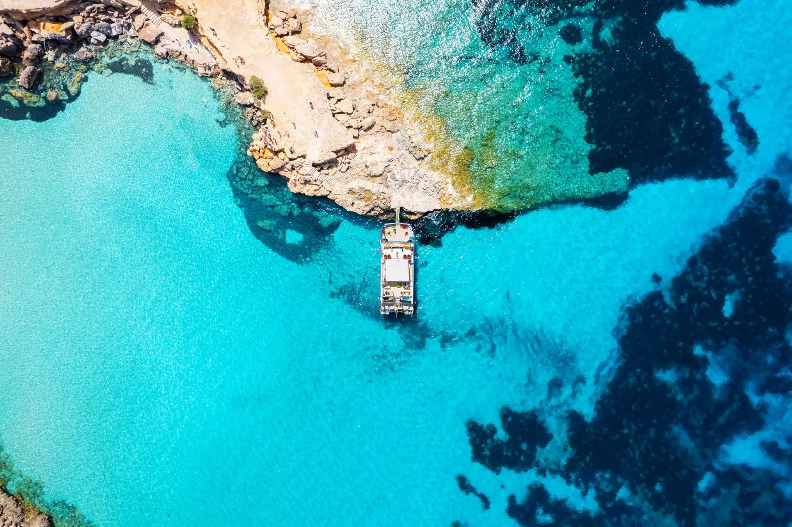 tickets Beach Cruise Daytime 