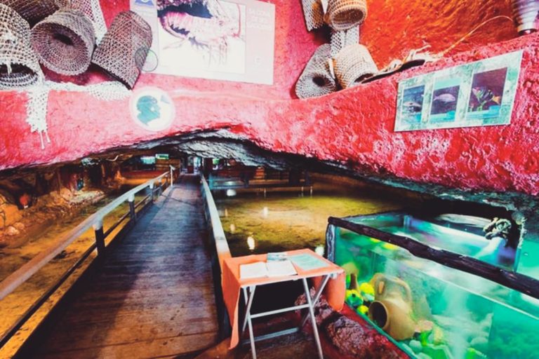 acuario Ibiza