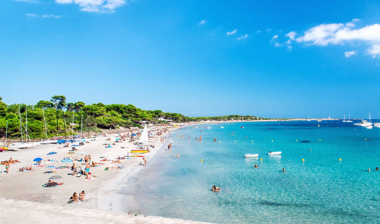 best ibiza bus tour