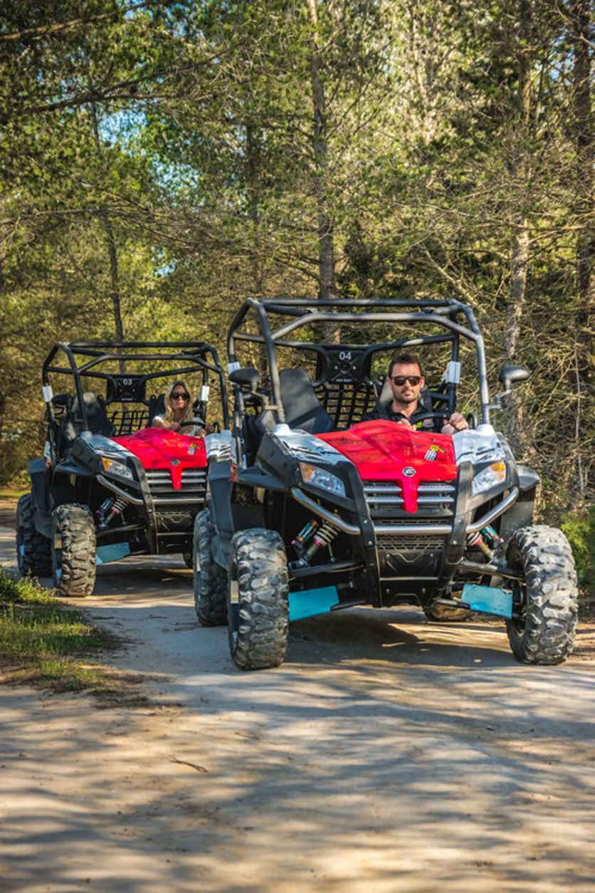 Big Buggy Tou