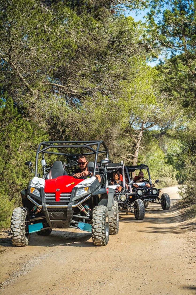book Big Buggy ibiza
