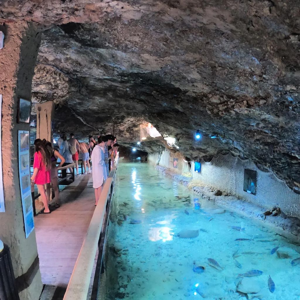 acuario ibiza 2025