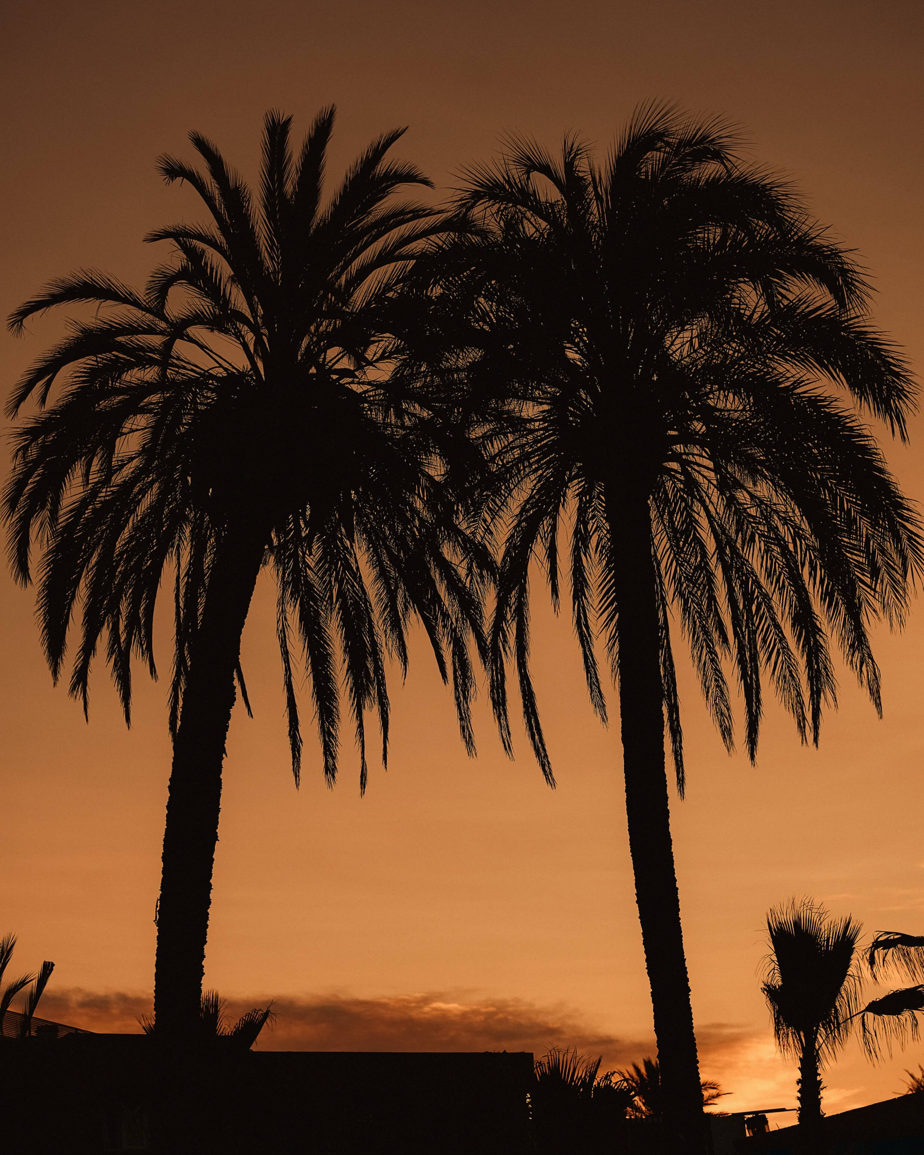 Playa Soleil Ibiza 2024